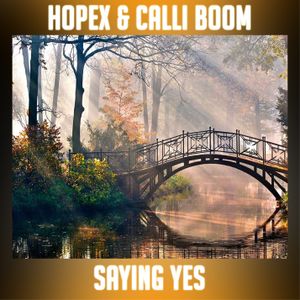 Saying Yes (Single)