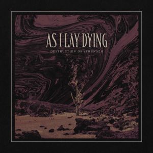 Destruction or Strength (Single)