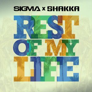 Rest of My Life (Single)