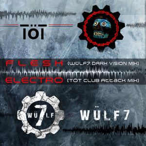 TÖT vs WÜLF7 (Single)