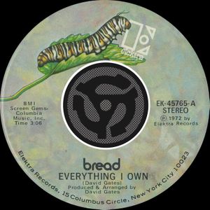 Everything I Own / I Don’t Love You (45 version) (Single)