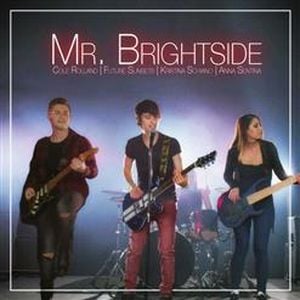 Mr. Brightside (The Killers Cover)