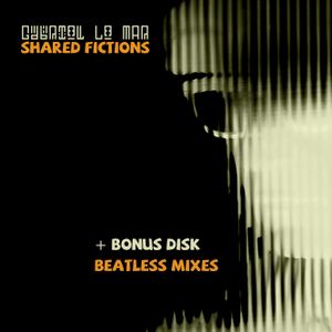 Shared Fictions
