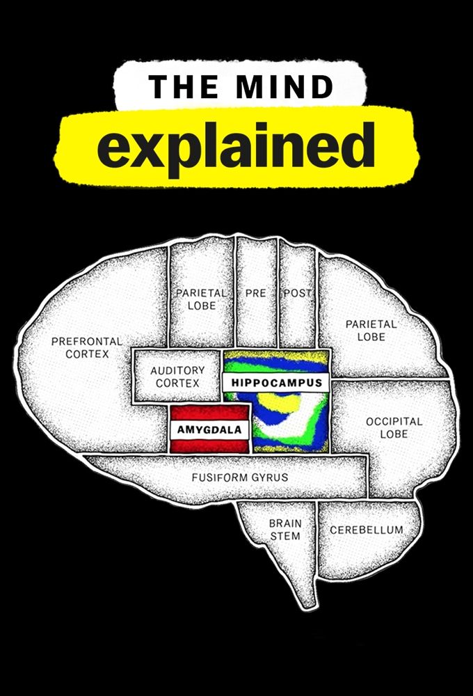 Le Cerveau En Bref
