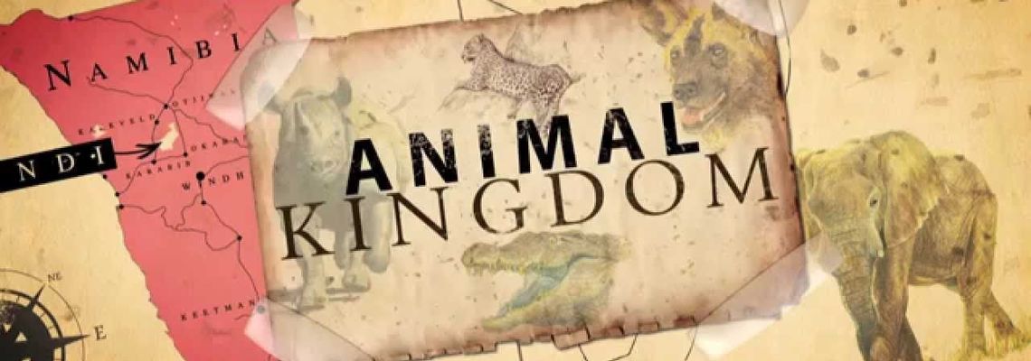 Cover Animal Kingdom