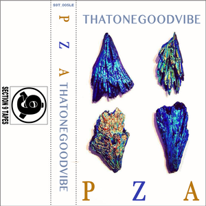 THATONEGOODVIBE