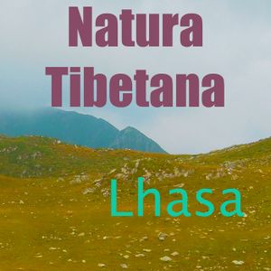 Natura Tibetana (Single)