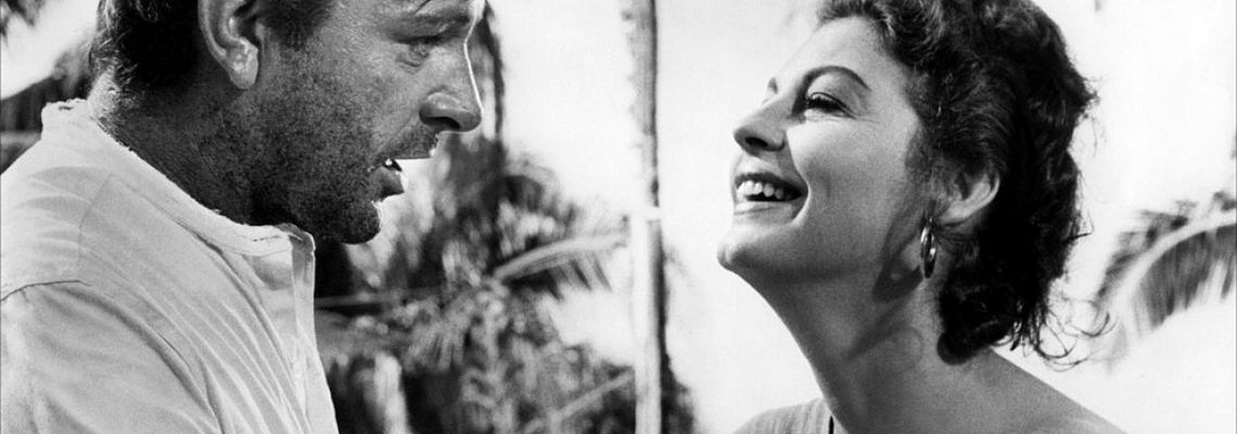 Cover La Nuit de l'iguane