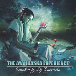 The Ayahuaska Experience
