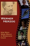 Affiche How Much Wood Would A Woodchuck Chuck?