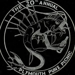 The 20th Annual Plymouth Punx Picnic