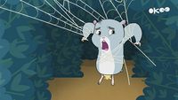 Toile à hamster