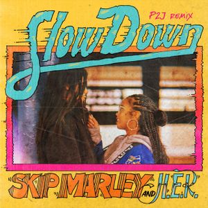 Slow Down (P2J remix)