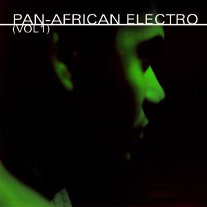 Pan-African Electro (Vol. 1)