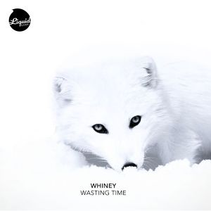 Wasting Time (Single)