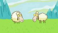 Des moutons qui organisent un pique-nique