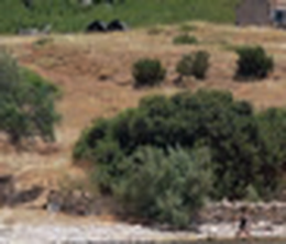 image-https://media.senscritique.com/media/000019306878/0/still.png