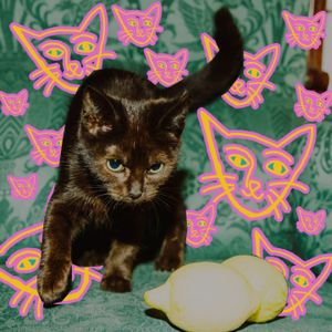 Drop It Like It’s Pop (Alcopop! Records Sampler 2019)