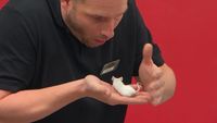 Mouth to Mouse