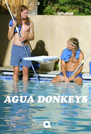 Agua Donkeys