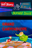 Affiche Donald visite le Grand Canyon