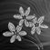 Avatar Diphylleia Avatar Diphylleia