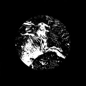 pathea / paso fino (Single)