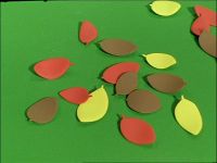 Miffy Counts Leaves