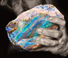 image-https://media.senscritique.com/media/000019319348/0/outback_opal_hunters.jpg