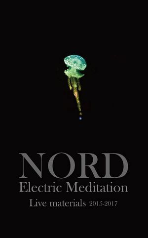 Electric Meditation: Live Materials 2015–2017 (Live)