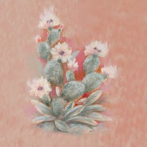 Cactus (Single)