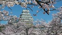 Le château de Himeji, les thermes d'Arima