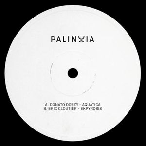 Palinoia LTD 001 (Single)