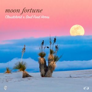 Moon Fortune (Single)