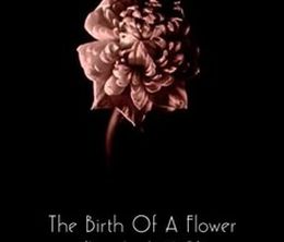 image-https://media.senscritique.com/media/000019331312/0/the_birth_of_a_flower.jpg