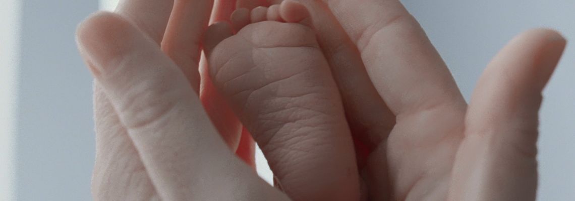 Cover The Tree of Life