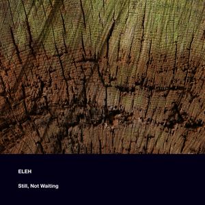 Still, Not Waiting (Single)