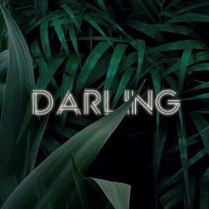 Darling (Single)