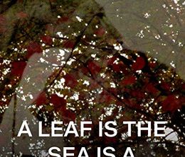 image-https://media.senscritique.com/media/000019341378/0/a_leaf_is_the_sea_is_a_theather.jpg
