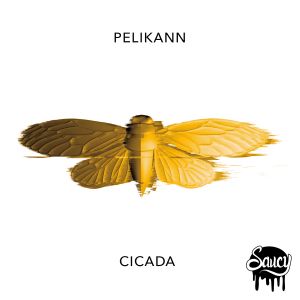 Cicada (Single)