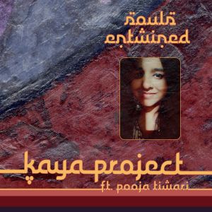 Kaya Project Selected Guitar Works (Bonus 1hr Mix)