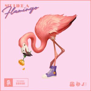 Sit Like a Flamingo (Single)