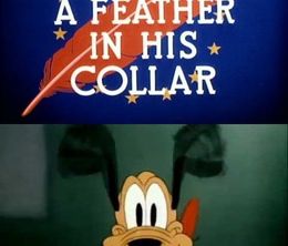 image-https://media.senscritique.com/media/000019348245/0/a_feather_in_his_collar.jpg