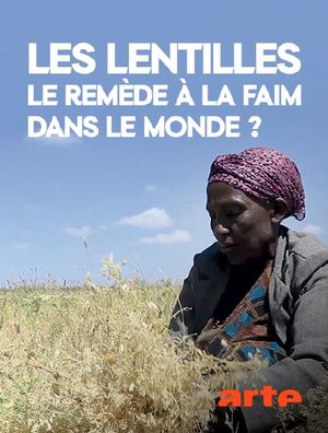 Les lentilles : le remède à la faim dans le monde