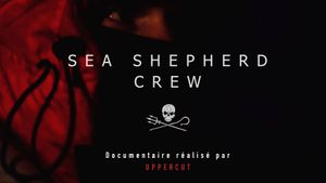 Sea Shepherd Crew
