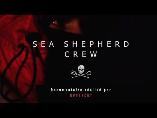 Sea Shepherd Crew