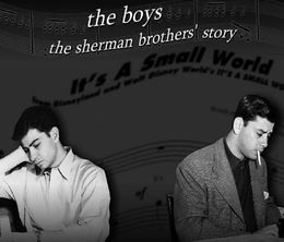 image-https://media.senscritique.com/media/000019350150/0/the_boys_l_histoire_des_freres_sherman.jpg