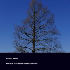 Perhaps You Understand My Question (Single)