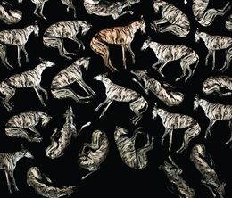 image-https://media.senscritique.com/media/000019352632/0/yo_galgo.jpg