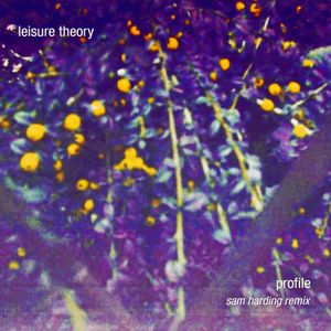 Profile (Sam Harding Remix)